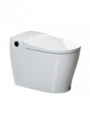 Ellison Bidet Smart Toilet